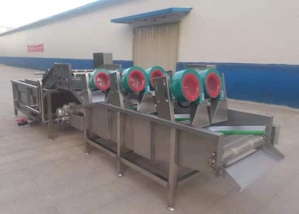 Машина Vega Drying Conveyor 300 сушка зелени, фруктов, овощей, ягод Vega Drying Conveyor 300