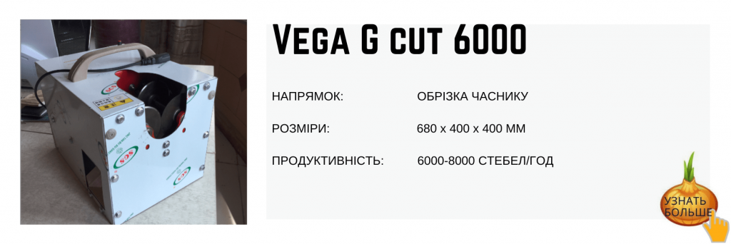Машина Vega G cut 6000 обрізка часнику (кореня та бадилля)